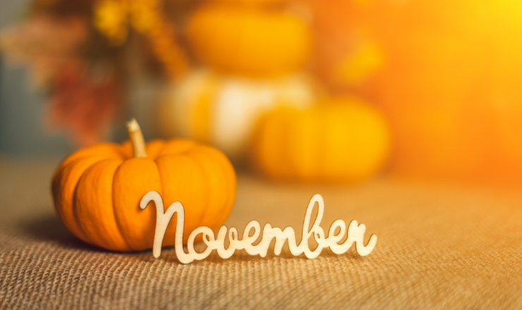 november feature card